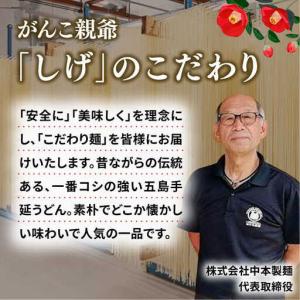 ふるさと納税 【全12回定期便】椿うどん300...の詳細画像4