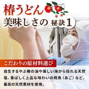 ふるさと納税 【全12回定期便】椿うどん300...の詳細画像2