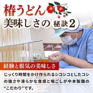 ふるさと納税 【全12回定期便】椿うどん300...の詳細画像3