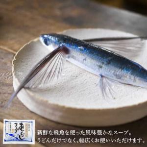 ふるさと納税 【全12回定期便】五島うどん 2...の詳細画像2