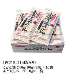 ふるさと納税 【全12回定期便】五島うどん 2...の詳細画像3