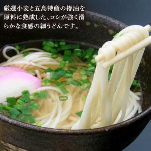 ふるさと納税 【全12回定期便】五島うどん 梅...の詳細画像1