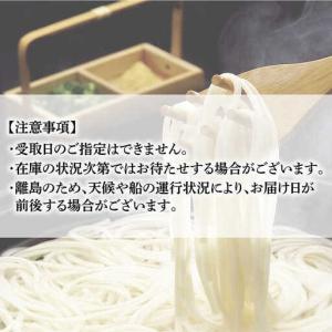ふるさと納税 【全12回定期便】五島うどん 梅...の詳細画像4