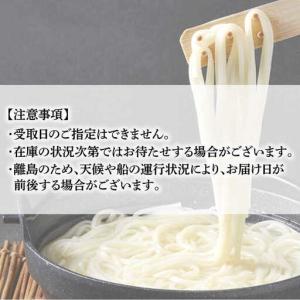 ふるさと納税 【全12回定期便】五島うどん 2...の詳細画像3