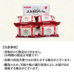 ふるさと納税 【全12回定期便】冷凍五島うどん...の詳細画像4