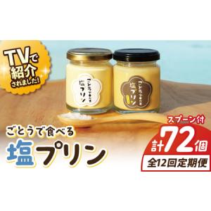 ふるさと納税 【全12回定期便】ごとうで食べる塩プリン6個 椿スプーン付き[RBA050] プリン スイーツ 塩 定期便 プリン スイーツ 塩 定期便 .. 長崎県新上五島町