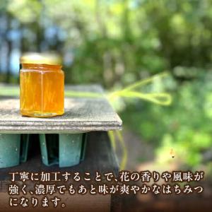 ふるさと納税 恵那蜂蜜 24本セット (蓮華蜂...の詳細画像3