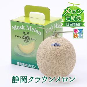 ふるさと納税 クラウンメロン 1玉 1kg 白等級 フルーツ クラウンメロン 静岡県森町
