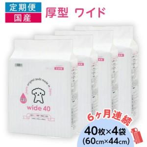 ふるさと納税 276622 厚型 ワイド ペットシーツ 40枚 × 4袋 国産 ペットシート 定期便 6ヶ月 連続お届け 427 茨城県茨城町
