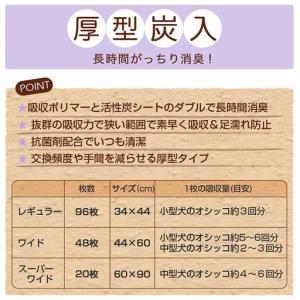 ふるさと納税 214601 厚型 炭入り レギ...の詳細画像3