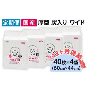 ふるさと納税 214701 厚型 炭入り ワイド ペットシーツ 40枚 × 4袋 国産 ペットシート 吸収力抜群 ダブル消臭 抗菌剤配合 定期便 12ヶ月 連.. 茨城県茨城町
