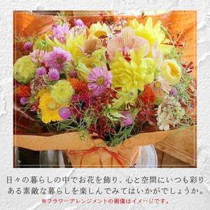 ふるさと納税 【12ヶ月定期便】花のある生活〜...の詳細画像3