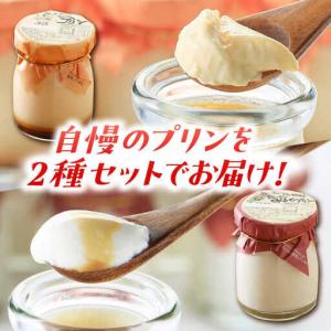 ふるさと納税 【12回定期便】シュシュプリンと...の詳細画像1