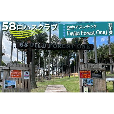 ふるさと納税 58ロハスクラブ　空中アスレチック『Wild Forest One』利用券 栃木県さく...