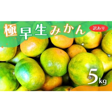 ふるさと納税 【2026年秋頃発送予約分】【訳あり】こだわりの極早生みかん 約5kg ※2026年1...
