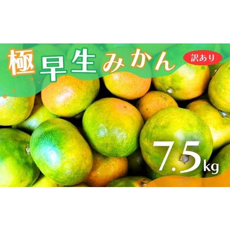 ふるさと納税 【2026年秋頃発送予約分】【訳あり】こだわりの極早生みかん 約7.5kg ※2026...