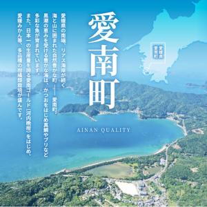 ふるさと納税 【新米】 先行予約 新米 令和9...の詳細画像4