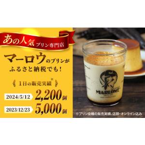 ふるさと納税 【全12回定期便】葉山ビーカープ...の詳細画像1