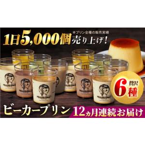 ふるさと納税 【全12回定期便】葉山ビーカープリン パーティーアソート セット 6種×2個 詰め合わせ（カスタードプリン・かぼちゃプリン.. 神奈川県横須賀市
