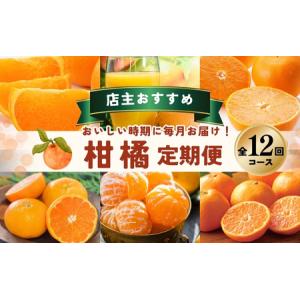 ふるさと納税 【1〜12月】柑橘 定期便 石本果...の商品画像