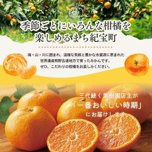 ふるさと納税 【1〜12月】柑橘 定期便 石本...の詳細画像1