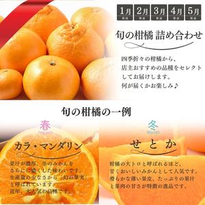 ふるさと納税 【1〜12月】柑橘 定期便 石本...の詳細画像2