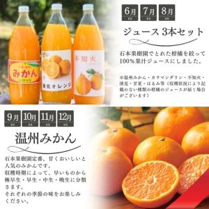 ふるさと納税 【1〜12月】柑橘 定期便 石本...の詳細画像3