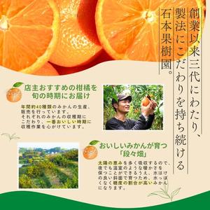 ふるさと納税 【1〜12月】柑橘 定期便 石本...の詳細画像4
