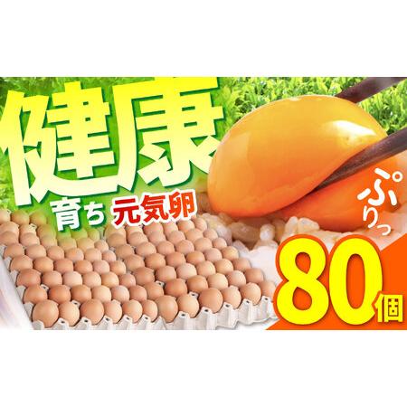 ふるさと納税 元気卵 80個 藪本養鶏園 卵  [AMBH001] 三重県亀山市