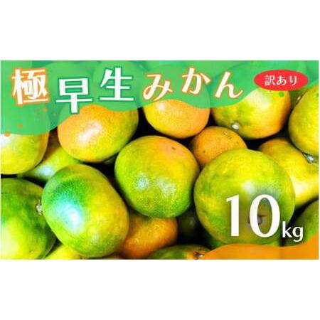 ふるさと納税 【2026年秋頃発送予約分】【訳あり】こだわりの極早生みかん 約10kg ※2026年...