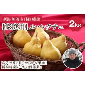 ふるさと納税 【2026年先行予約】【家庭用】西洋梨 ル・レクチェ 2kg（5〜7玉）《11月下旬〜順次発送》 果物 梨 洋梨 西洋梨 フルーツ 訳あり 冬.. 新潟県加茂市
