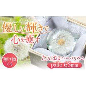 ふるさと納税 【pallo 65mm】たんぽぽハーバリウム / インテリア 雑貨 フラワー ナチュラル / 亀山市 / auRinko [AMBL001] 三重県亀山市