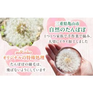 ふるさと納税 【pallo 65mm】たんぽぽ...の詳細画像2