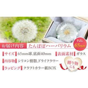 ふるさと納税 【pallo 65mm】たんぽぽ...の詳細画像4