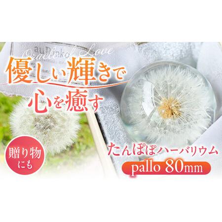 ふるさと納税 【pallo 80mm】たんぽぽハーバリウム / インテリア 雑貨 フラワー ナチュラ...