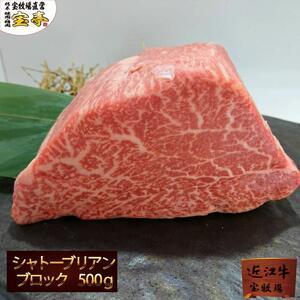ふるさと納税 【宝牧場】近江牛シャトーブリアンブロック500g 滋賀県