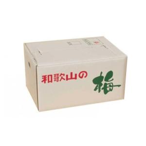 ふるさと納税 【梅干・梅酒用】大玉4Lサイズ1...の詳細画像3