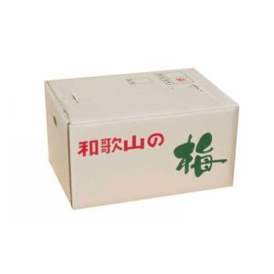 ふるさと納税 【梅干・梅酒用】大玉4Lサイズ1...の詳細画像3