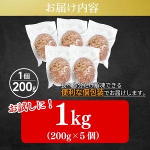ふるさと納税 黒毛和牛 ハンバーグ 1kg 2...の詳細画像4