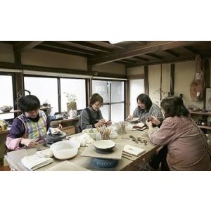ふるさと納税 【 片口(大)赤絵 ×1枚 】 ...の詳細画像2