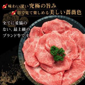 ふるさと納税 【全12回定期便】長崎和牛出島ば...の詳細画像2