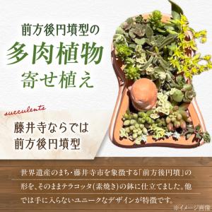 ふるさと納税 多肉植物 寄せ植え 前方後円墳型...の詳細画像1