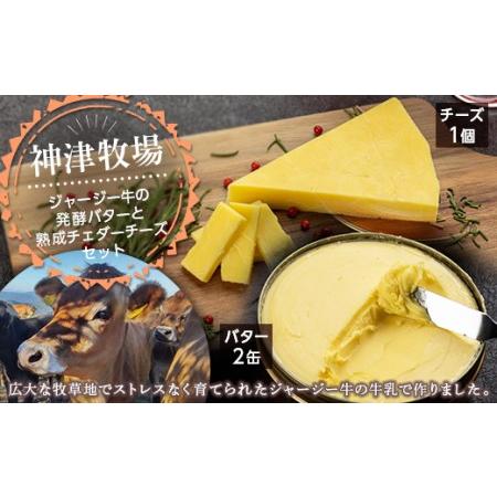 ふるさと納税 【神津牧場】ジャージー牛の濃厚ミルクで作った発酵バター2個450g と熟成チェダーチー...