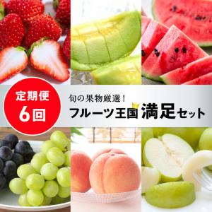 ふるさと納税 【先行予約／フルーツ定期便6回】旬の果物厳選！京丹後フルーツ王国満足セット（完熟イチゴ・小玉スイカ・桃・メロン・完熟ブド.. 京都府京丹後市