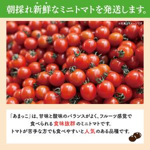 ふるさと納税 【先行予約★2026年5月中旬頃...の詳細画像2