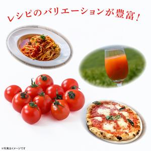 ふるさと納税 【先行予約★2026年5月中旬頃...の詳細画像3