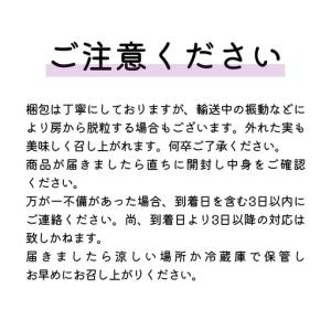 ふるさと納税 《 2026年 収穫分 》 種あ...の詳細画像3