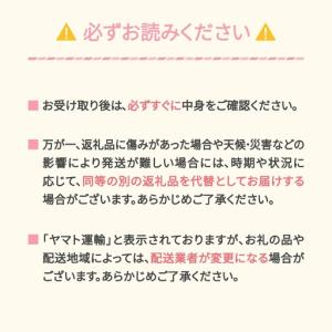 ふるさと納税 【先行予約】【和】全5回フルーツ...の詳細画像3