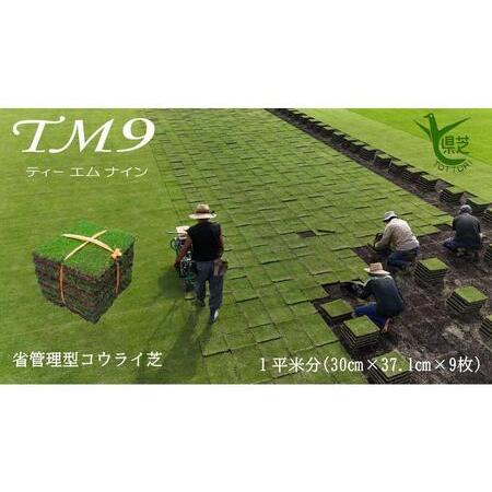 ふるさと納税 芝生（省管理型コウライ芝　TM9ティーエムナイン） 鳥取県琴浦町