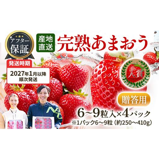 ふるさと納税 いちご あまおう 6〜9粒入り×4P R9年1月以降発送 いちご 福岡県田川市